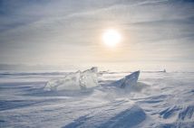 Exploring the Evolutionary Traits of Ice Age Animals in Cold Environments