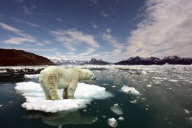The Impact of Isolation on Species Adaptation Through Natural Selection