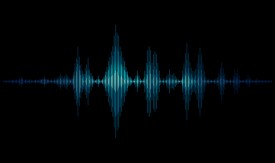 How Acoustic Monitoring Revolutionizes Tracking Elusive Wildlife